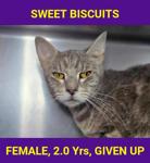 SWEET BISCUITS